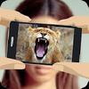what animal am i?