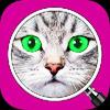 what's the photo? free game