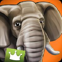 wildlife africa premium