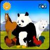 wildlife and farm animal for kid