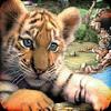 wildlife park