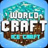 winter craft survival