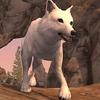 wolf tales - home and heart