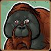 zoo wild - animal games gamelinkexchange