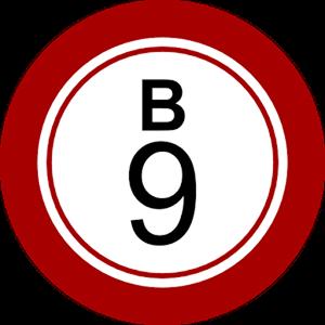 bingo america GameLinkExchange
