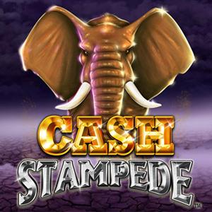 Cash Stampede Slot Game GamelinkeXchange