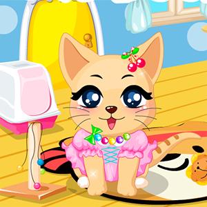 Cat Room Design GamelinkeXchange