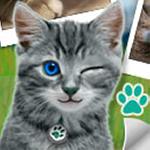 cat stickerz GameLinkExchange