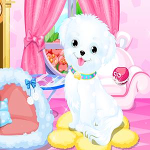 Cute Puppy Salon GamelinkeXchange