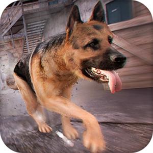 Doggy Dog World 3D SimalatÃ¶r GamelinkeXchange