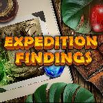 Expedition Findings GamelinkeXchange