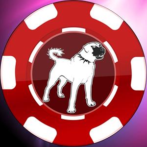 Face Poker GamelinkeXchange