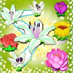 Flower Forest Blast GamelinkeXchange