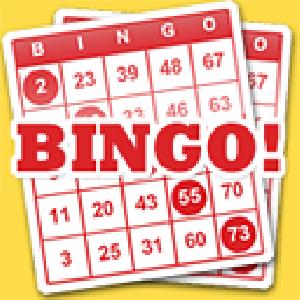 Bingo Game Point GamelinkeXchange