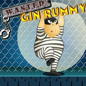 Gin Rummy GamelinkeXchange