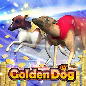 golden dog 3d GameLinkExchange