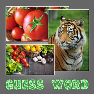 Guess Word GamelinkeXchange