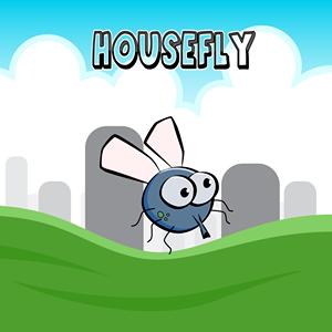House Fly GamelinkeXchange
