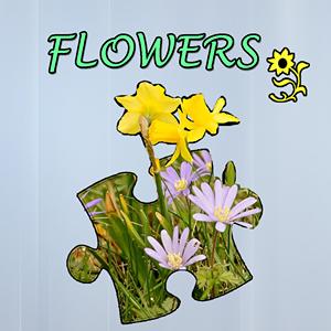 Jigsaw Puzzle Flowers GamelinkeXchange