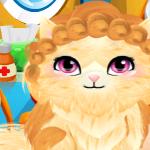 Kitty Cares GamelinkeXchange