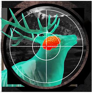 Let s Hunt GamelinkeXchange