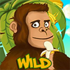 Monkeys Monkeys GamelinkeXchange