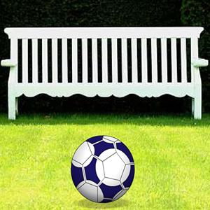 park soccer GameLinkExchange