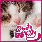 Photo Kitty GamelinkeXchange