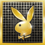 Playboy Casino GamelinkeXchange