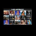 playboy slot GameLinkExchange