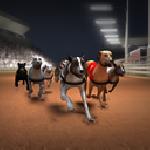 Racing Dog GamelinkeXchange