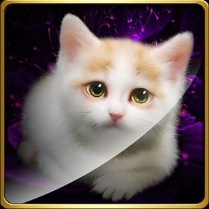 Slot Wild Cats GamelinkeXchange