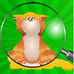 Where The Cat GamelinkeXchange