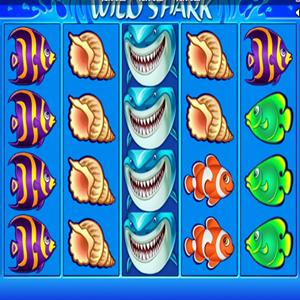 WILD SHARK GamelinkeXchange