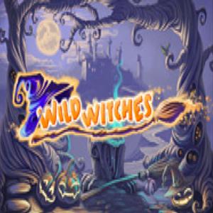 Wild Witches GamelinkeXchange
